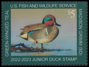 US JDS30 Junior Duck Green-winged Teal $5 single (1 stamp) MNH 2022-2023