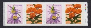 New! = Coil STARTER strip of 4 stamps = Wildflowers MNH Canada 2024