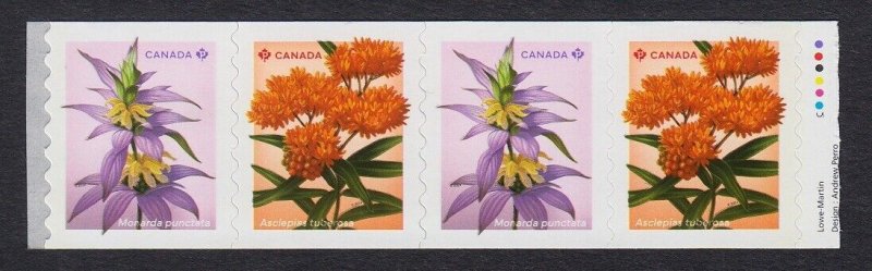 STARTER strip of 4, Coil = BUTTERFLY MILKWEED, BEEBALM wildflowers Canada 2024