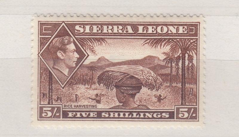 Sierra Leone KGVI 1938/44 5/- SG198 Mint MH X8759