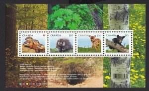 Baby Animals = BEAR, DEER, WOODCHUCKS & PORCUPINES = SS MNH CANADA 2013 #2602