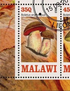 Malawi Mushroom Boletus Pinicola Fungus Souvenir Sheet of 4 Stamps