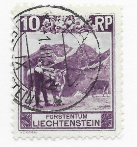Liechtenstein #96 - Stamp CAT VALUE $5.00