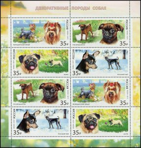 Russia 2019, Miniature Sheet ,Decorative-Toy Dogs, # 2448-51,VF MNH**