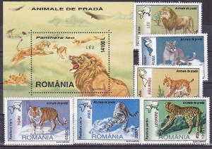 Romania STAMPS ANIMALS Tiger lion big cats felines MNH MS and set