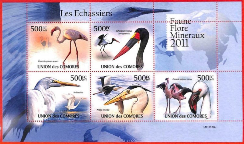 A3829 - Comoros - ERROR MISPERF, Miniature Sheet - 2011, Waders Birds