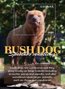 Guyana 2022 - Bush Dogs - Souvenir Stamp Sheet - Scott #4709 - MNH