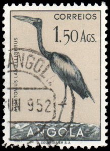 Angola 339 - Used - 1.50a African Openbill Stork (1951)