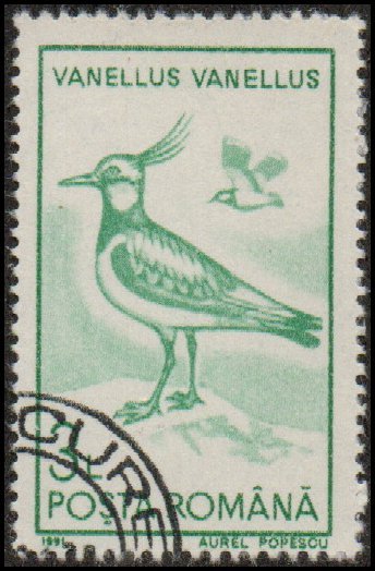 Romania 3643 - Cto - 3L Northern Lapwing (1991) +