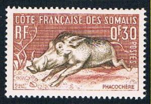 Somali Coast 273 MLH Wart Hog (BP362)