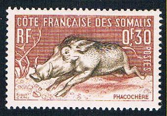 Somali Coast 273 MLH Wart Hog (BP362)