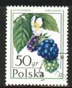 Poland Scott 2199 Used 1977  favor canceled fruit stamp