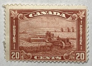 CANADA 1930-31 #175 King George V 'Arch/Leaf' Issue - MH (CV 45$ +)