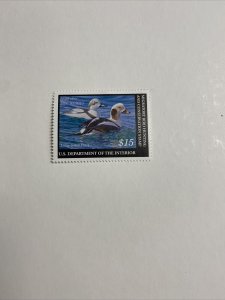 RW76 2009 Federal Duck Stamp Mint Never Hinged 