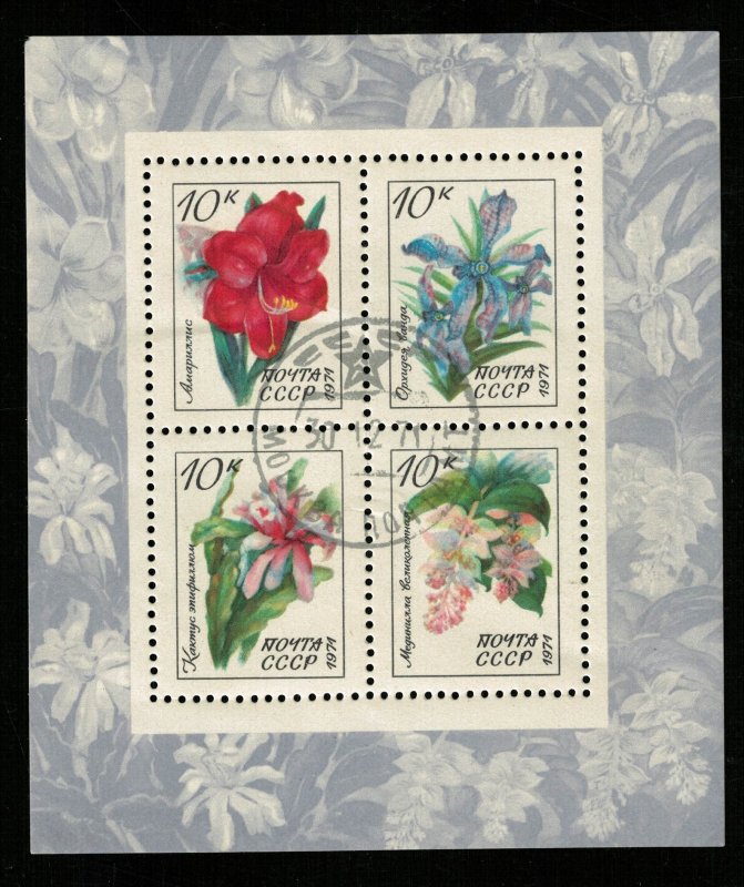 1971, Flowers, Block, USSR, 10 kop (Т-8560)