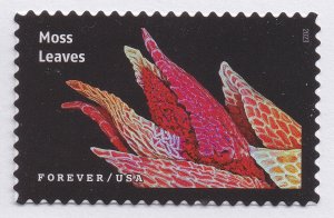 US 5802a-5802t 5802 Life Magnified forever set (20 single stamps) MNH 2023