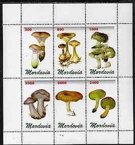 MORDOVIA SHEET MUSHROOMS 