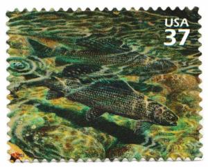 US 3802i Arctic Tundra Arctic Grayling 37c single MNH 2003