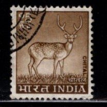 India - #623 Chital Deer - Used