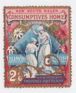 New South Wales Sc B2 MLH. 1897 Consumptives Home, fresh, bright, VLH, VF