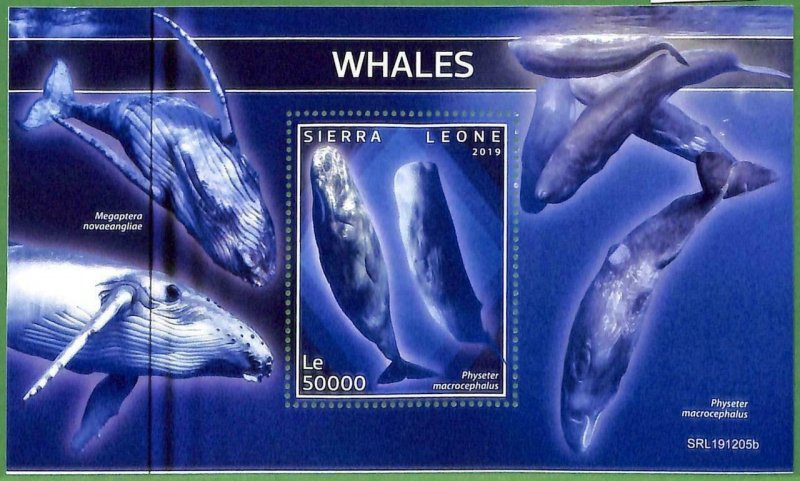 A2571 - SIERRA LEONE - ERROR: MISPERF, special block - 2019 whales, marine life-