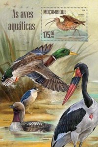 Mozambique - 2016 Water Birds - Stamp Souvenir Sheet - MOZ16205b