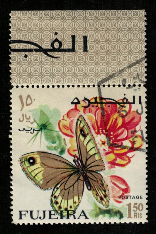 Butterfly (T-4935)