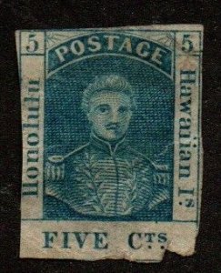 Hawaii 5 (Original) Large Tear