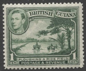 STAMP STATION PERTH British Guiana #230 KGVI Pictorial Definitive MH