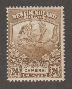 EDSROOM-17375 Canada NFLD 125 H 1919 High Value Caribou CV$45