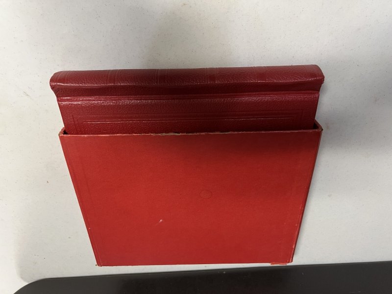 Elbe Daisy Album, Springback Binder , Dustcase, Quad Pages