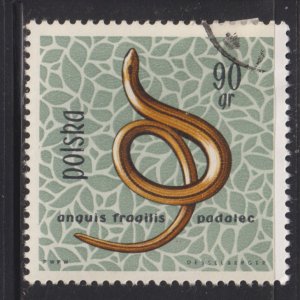 Poland 1138 Slow Worm 1963