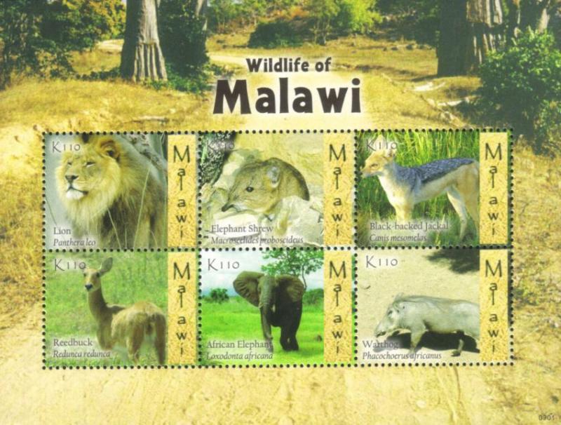 Malawi - 2009 Wildlife MS MNH** SG MS1039