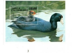 Turks and Caicos 1990 - Birds Ducks - Souvenir Stamp Sheet - Scott #868 - MNH