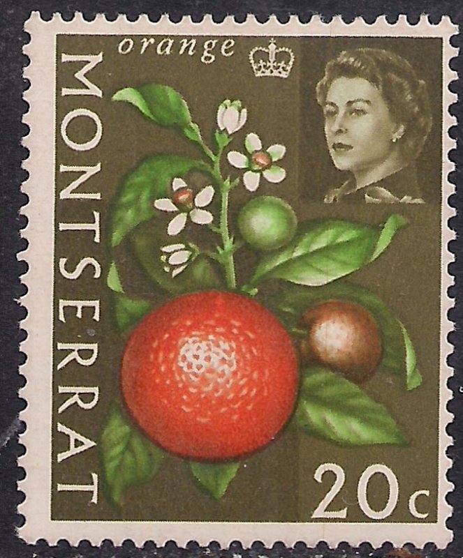 Montserrat 1965 QE2 20ct Orange Fruit Umm SG 169 ( J836 )