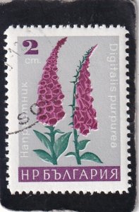 Bulgaria   #   1558     used
