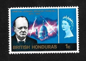 British Honduras 1966 - MNH - Scott #191