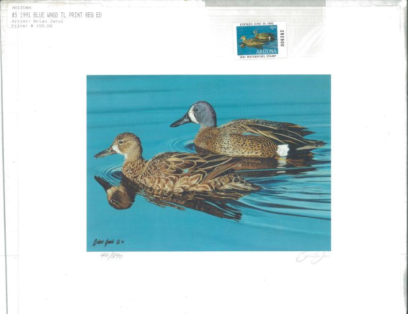 ARIZONA #5 1991 DUCK STAMP PRINT BLUE WINGED TEAL by Brian Jarvi Edition: 890