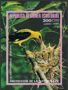 EQUATORIAL GUINEE MiBk237 MNH SS BIRDS BIN $4.00