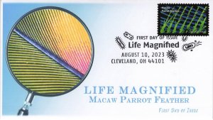 20 Life Magnified covers