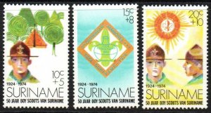 Suriname Sc #B208-B210 Mint Hinged