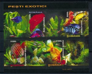 [101037] Romania 2005 Marine Life fish Souvenir Sheet MNH