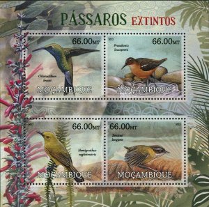 Birds Stamp Chlorostilbon Bracei Xenicus Longipes Xenicus Longipes S/S MNH #5738