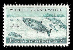 # 1079 MINT NEVER HINGED KING SALMON TEMP