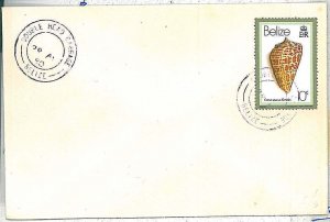 28684  - BELIZE - Postal History -  COVER from Double Head Cabbage  1980 SHELLS