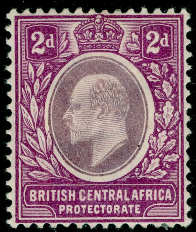 NYASALAND PROTECTORATE SG60, 2d dull brt purple, M MINT. WMK CA