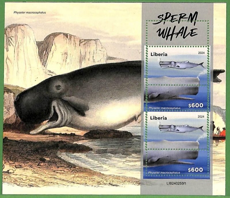 B2534 - LIBERIA - ERROR MISPERF Stamp Sheet - 2024 - Sperm Whales