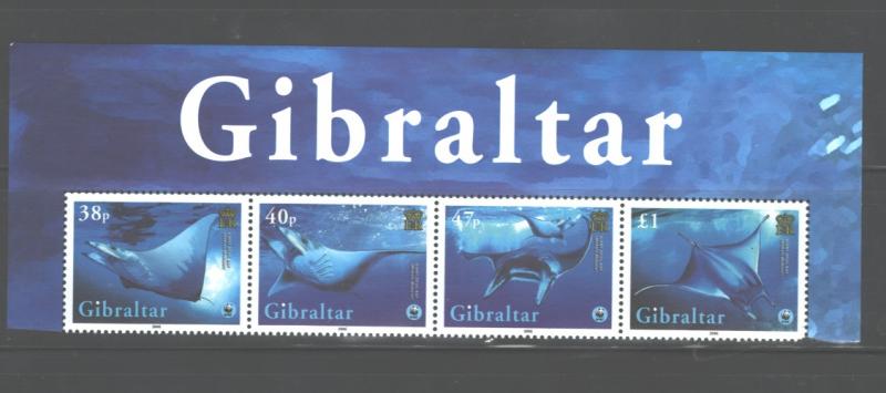 GIBRALTAR 2006 MARINE LIFE-FISH #1037 MNH