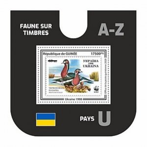 Guinea - 2020 Bird Stamp on Stamp - Stamp Souvenir Sheet - GU200268b6