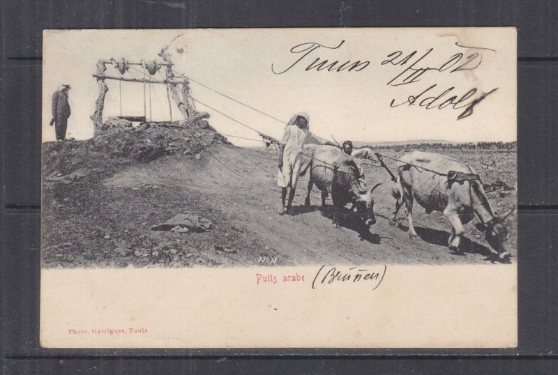 TUNISIA, 1902 ppc. Arab Well, 5c. Tunis to Austria. 